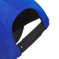 Custom Logo Adidas Perforated Hat
