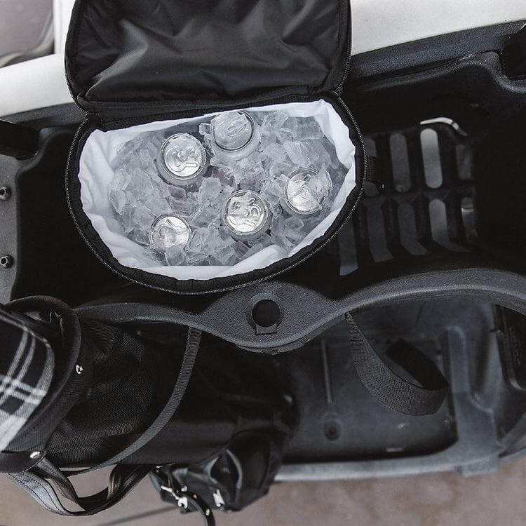 Jones Utility FC Cooler/Wine Carrier