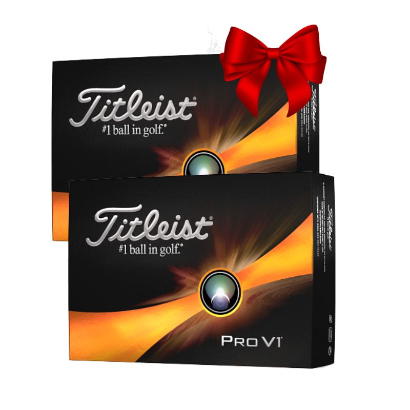 2 Dozen - Titleist factory 2021 Pro V1 Golf Balls