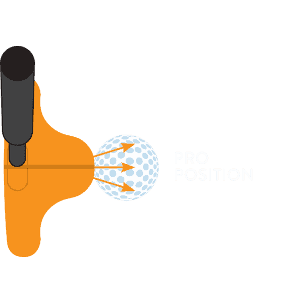 Orange Whip Golf Training Aid - Putter