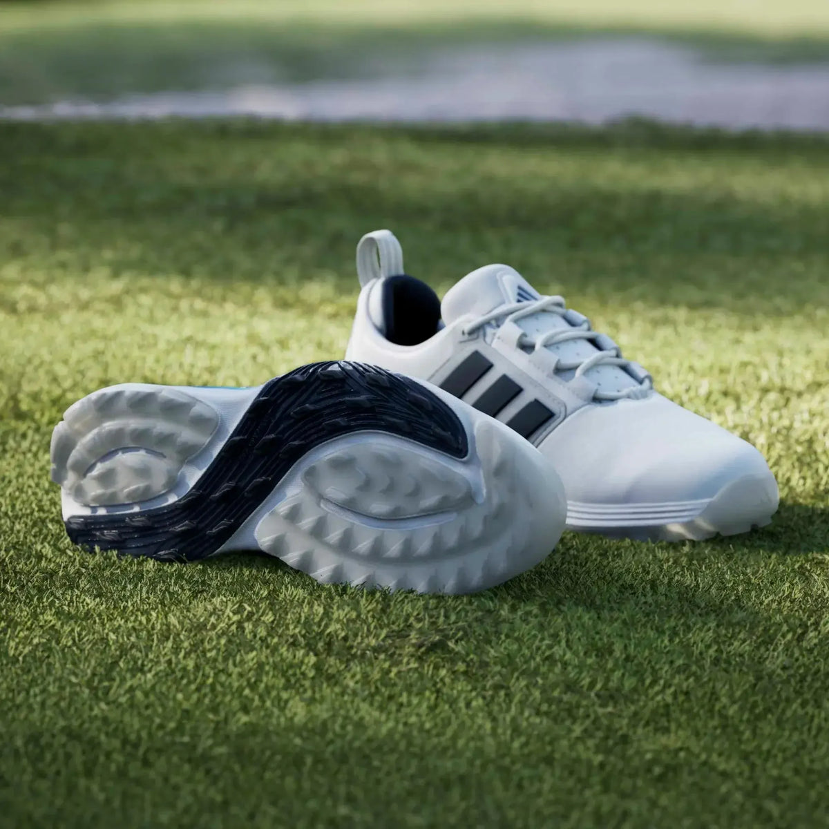 Adidas Adipower Men's Spikeless Golf Shoes