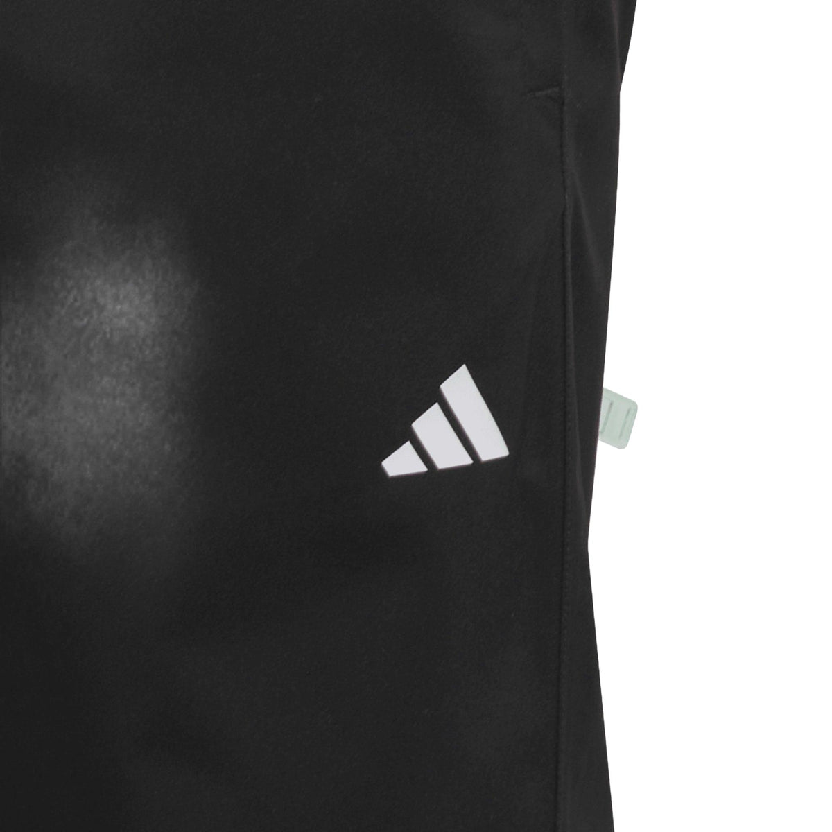 Adidas Provisional Pant