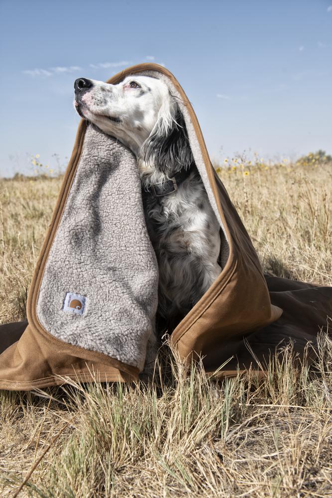 Carhartt Firm Duck Lined Throw