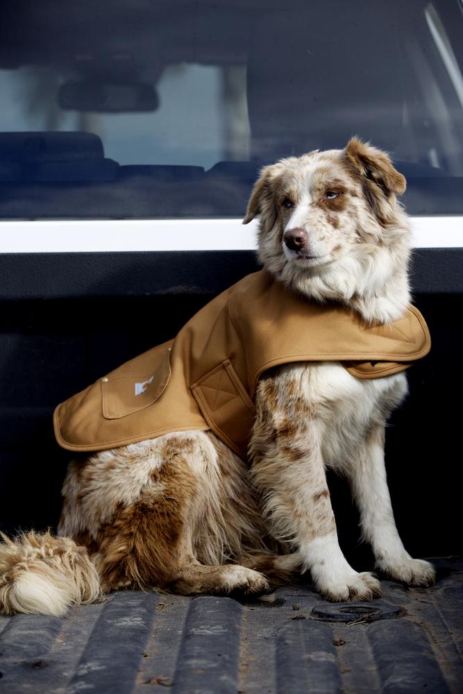 Carhartt Hunting Tech Chore Coat
