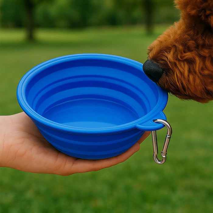 Custom Logo 7 Inch Pet Collapsi-Bowl™