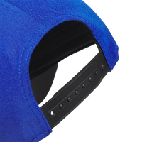 Custom Logo Adidas Perforated Hat