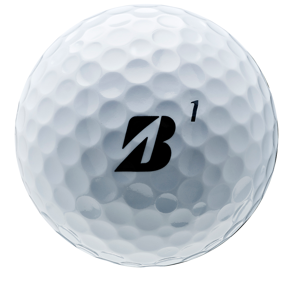 Custom Logo Bridgestone e6 Golf Balls - 2025