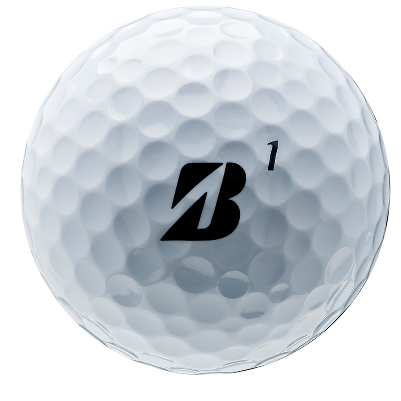 Custom Logo Bridgestone e6 Golf Balls - 2025