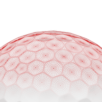 Custom Logo Callaway Chrome Tour Golf Balls