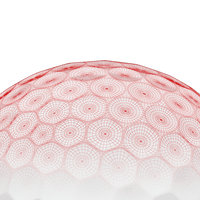 Custom Logo Callaway Chrome Tour Golf Balls