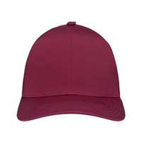 Levelwear Zeta Fitted Cap - Cardinal