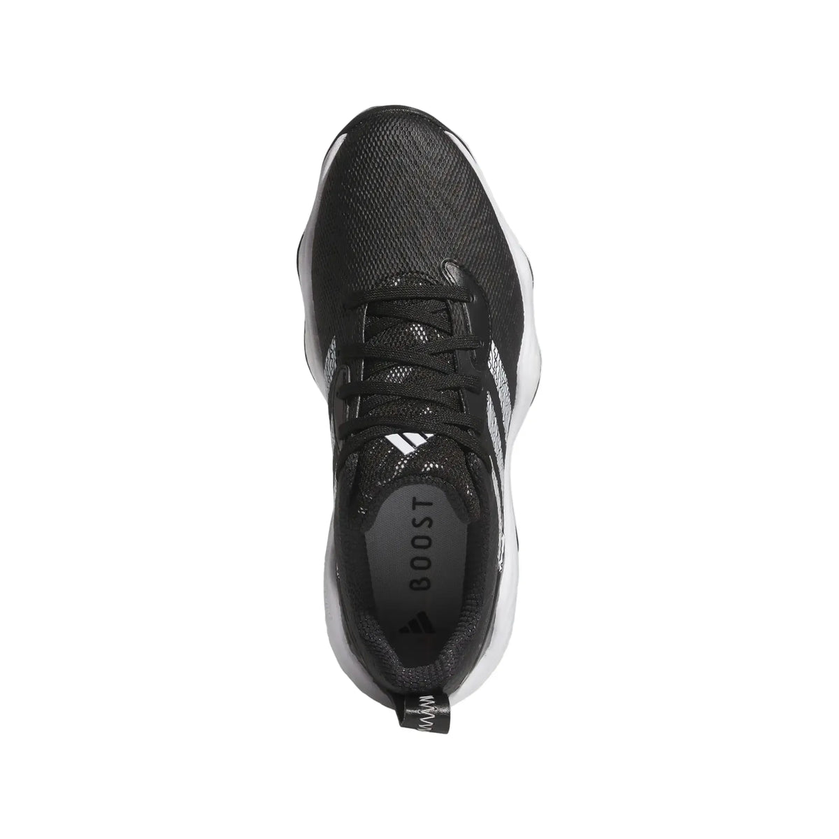 Adidas Codechaos 25 Spikeless Golf Shoes - Womens
