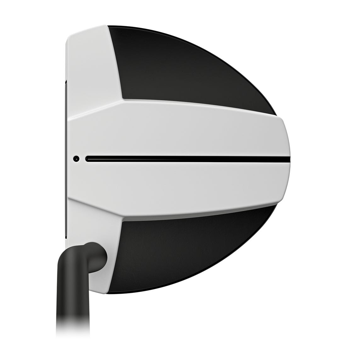 PING Scottsdale TEC Hayden Putter