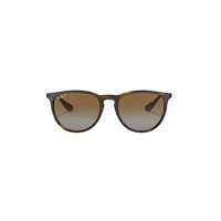Ray Ban Erika Sunglasses