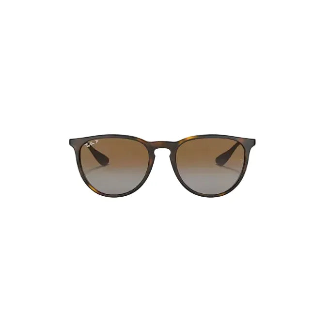 Ray Ban Erika Sunglasses