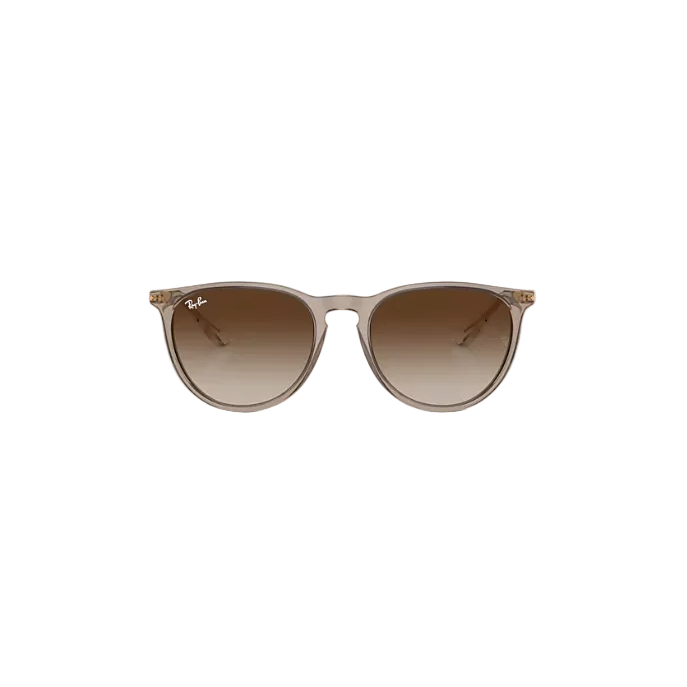Ray Ban Erika Sunglasses