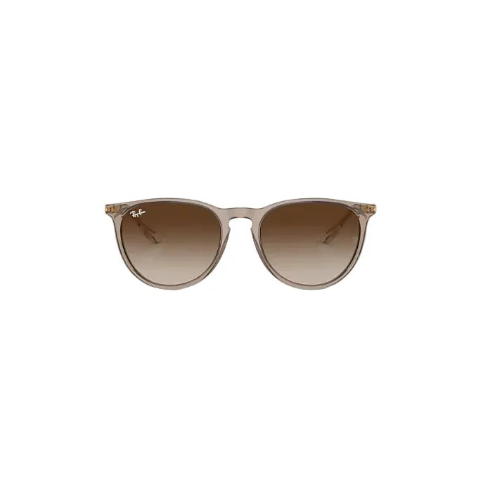 Ray Ban Erika Sunglasses