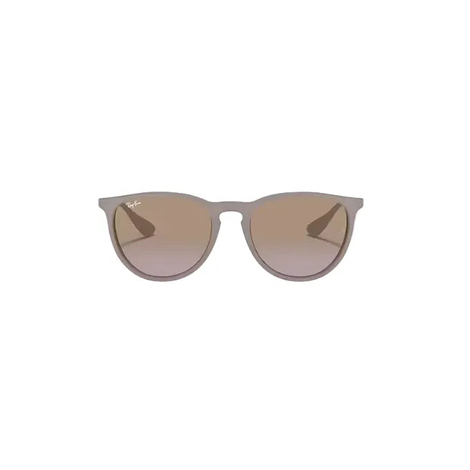 Ray Ban Erika Sunglasses