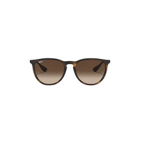 Ray Ban Erika Sunglasses
