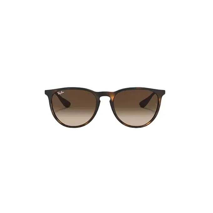 Ray Ban Erika Sunglasses