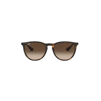 Ray Ban Erika Sunglasses
