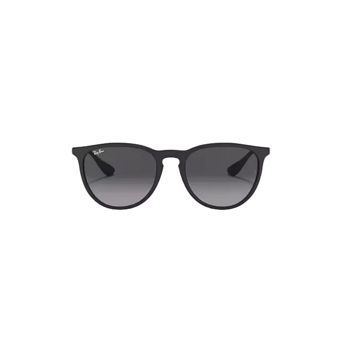 Ray Ban Erika Sunglasses