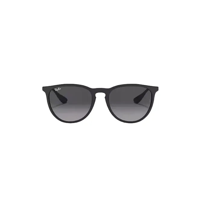 Ray Ban Erika Sunglasses
