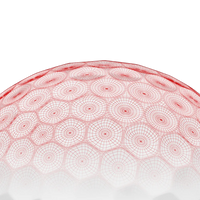 Custom Logo Callaway Chrome Tour Golf Balls