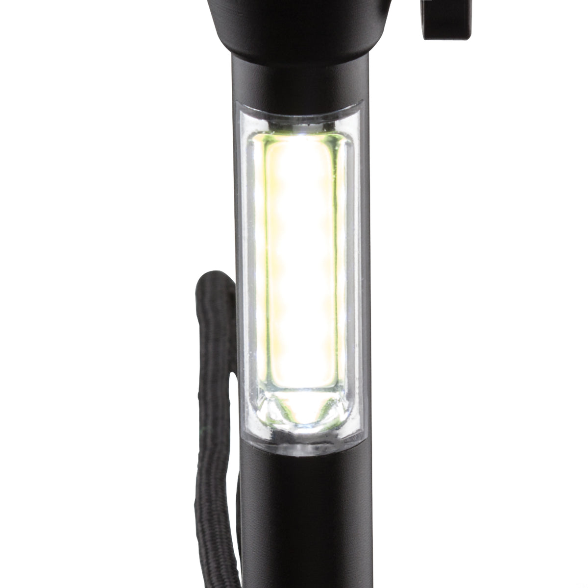 Light