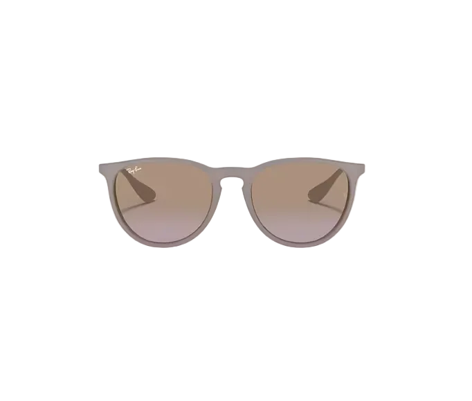 Ray Ban Erika Sunglasses