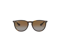 Ray Ban Erika Sunglasses