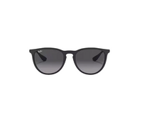 Ray Ban Erika Sunglasses