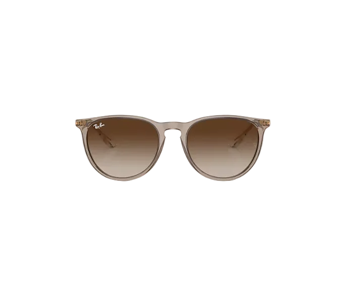 Ray Ban Erika Sunglasses