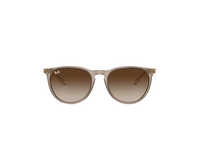 Ray Ban Erika Sunglasses