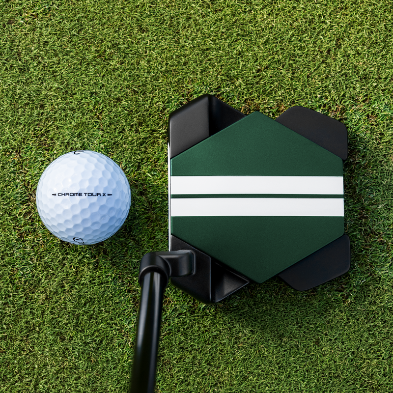 Odyssey TRTL CH putter - on the green
