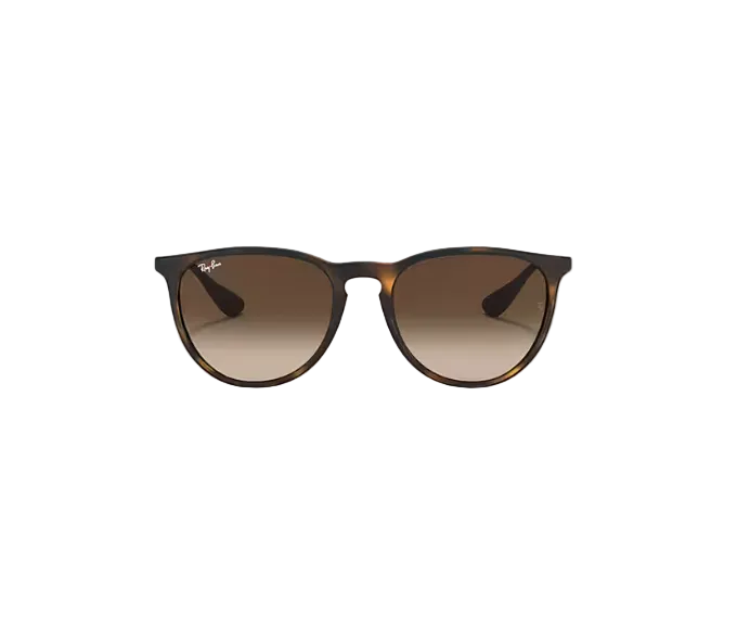 Ray Ban Erika Sunglasses