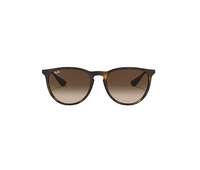 Ray Ban Erika Sunglasses