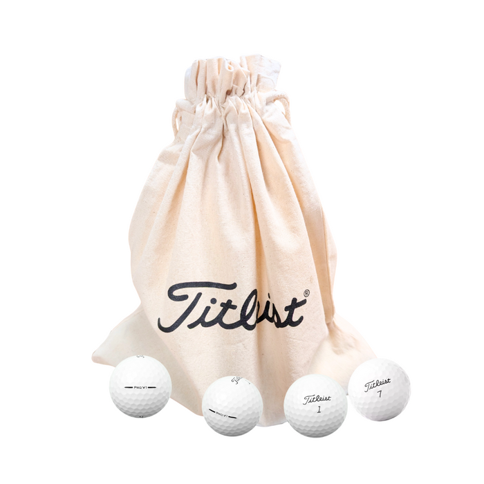 Titleist Pro V1 Practice Balls NEW 2 Dozen